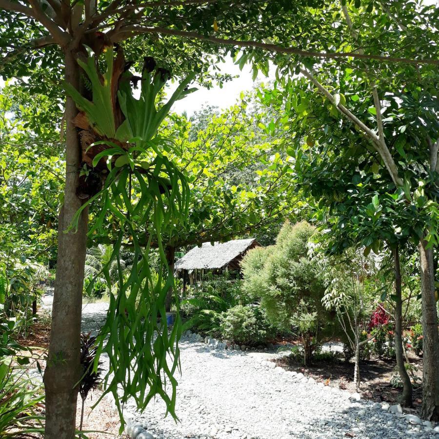 Magpie resto dan homestay Bukit Lawang Exterior foto