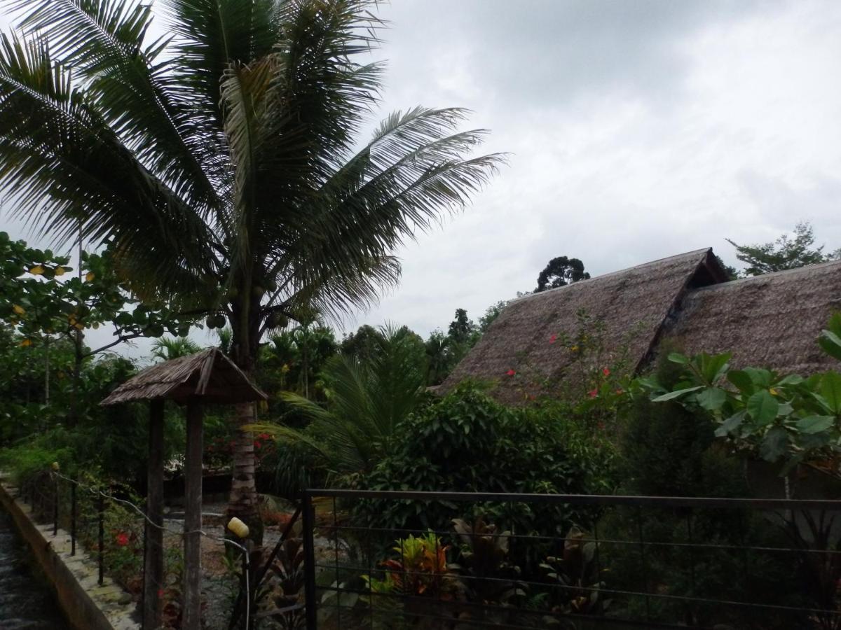 Magpie resto dan homestay Bukit Lawang Exterior foto
