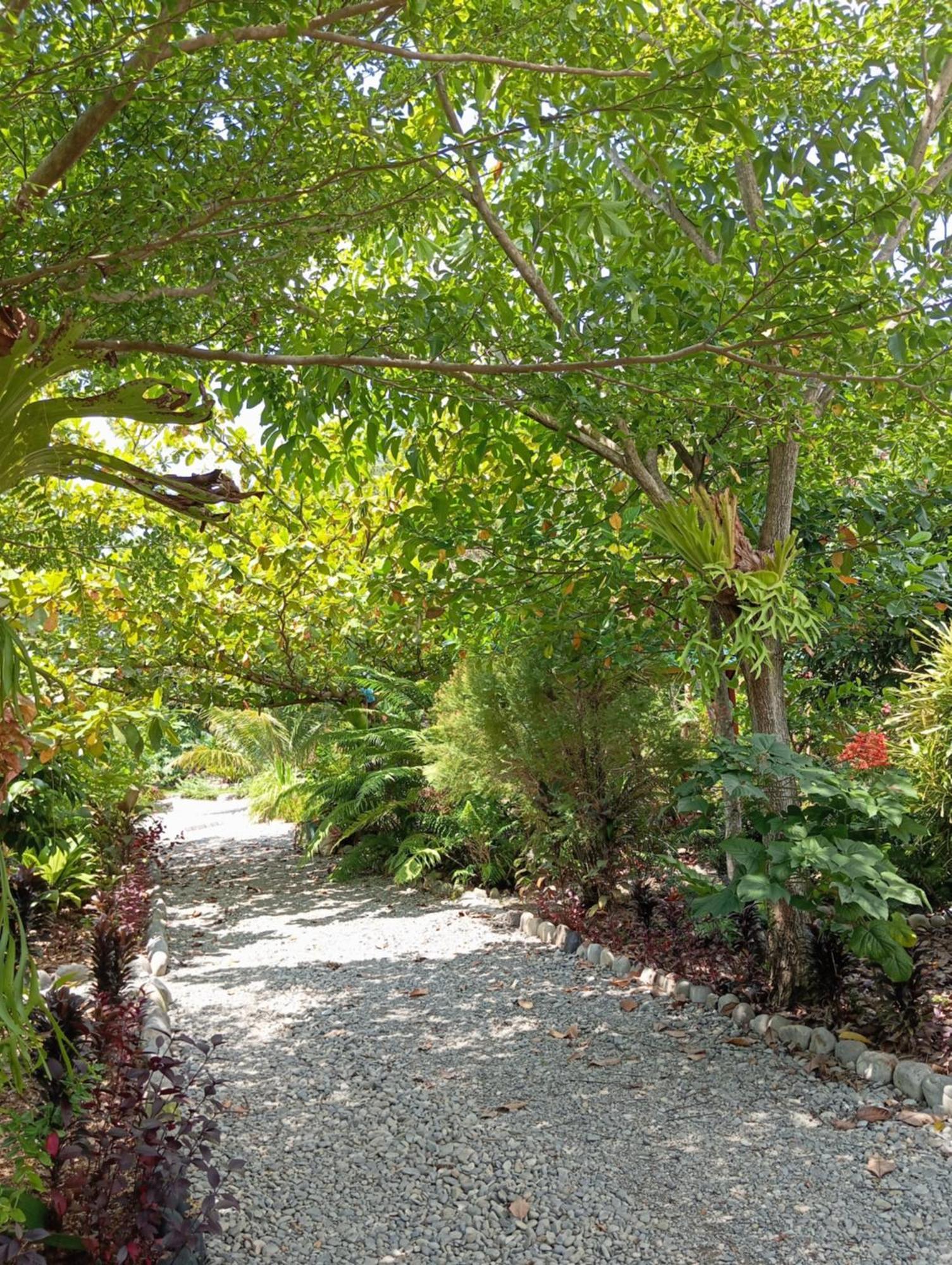 Magpie resto dan homestay Bukit Lawang Exterior foto