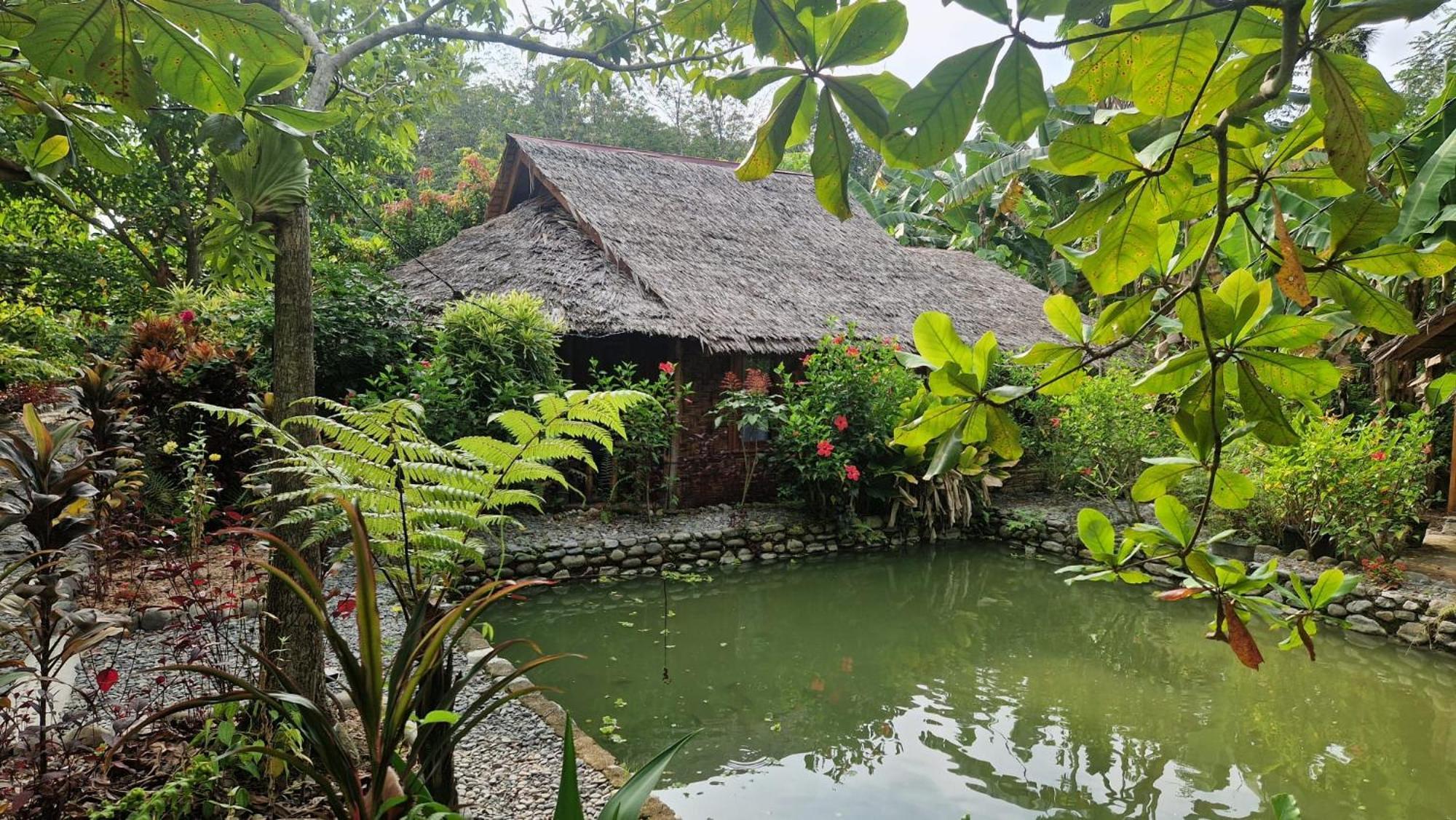 Magpie resto dan homestay Bukit Lawang Exterior foto