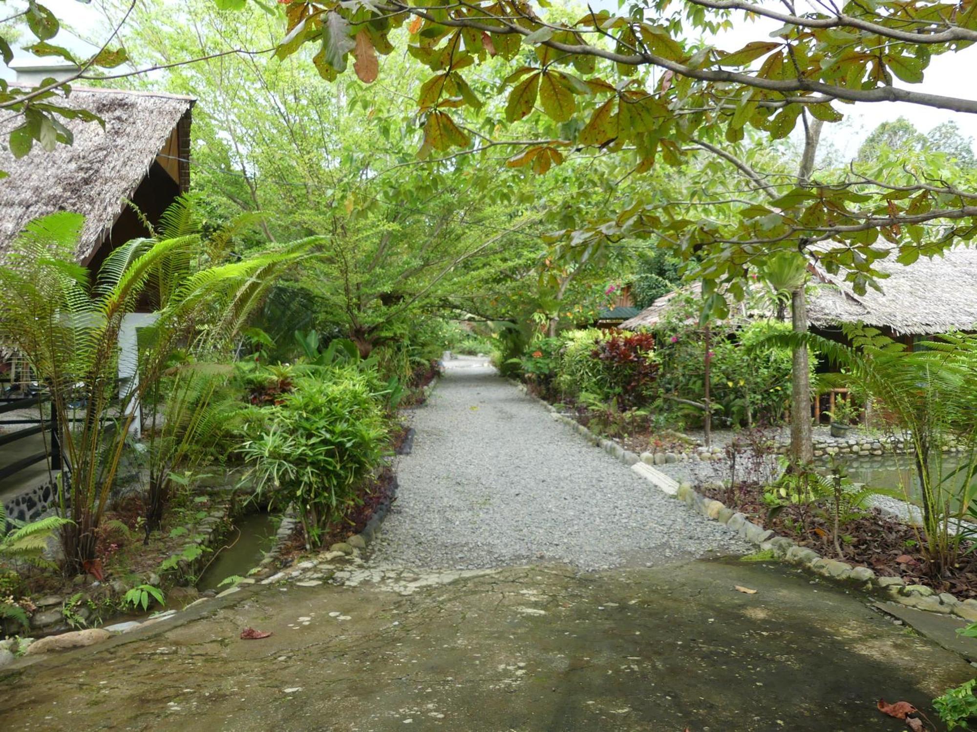 Magpie resto dan homestay Bukit Lawang Exterior foto