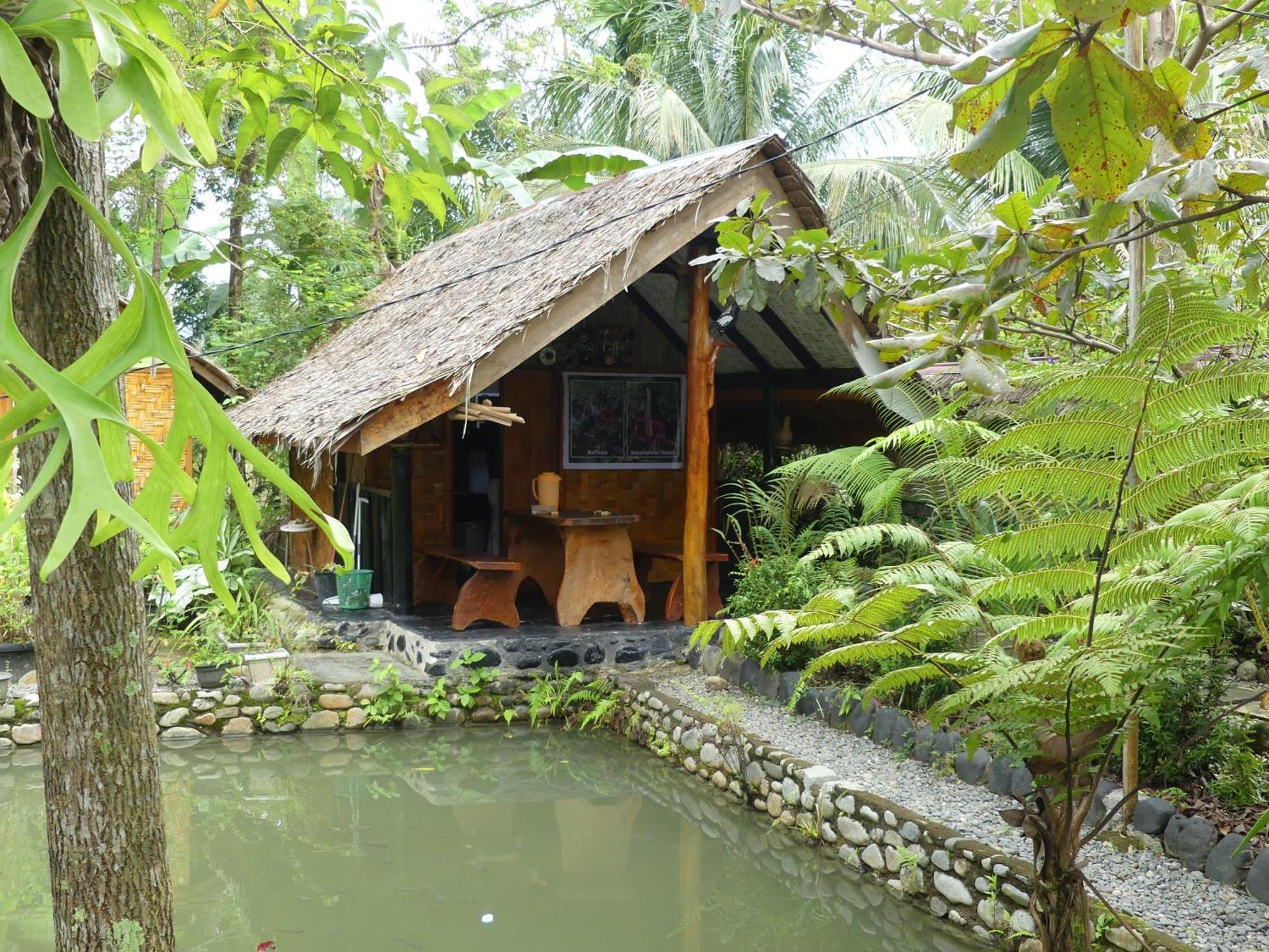Magpie resto dan homestay Bukit Lawang Exterior foto